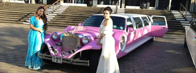 think pink excalibur wedding 