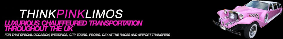 header logo think pink limos 